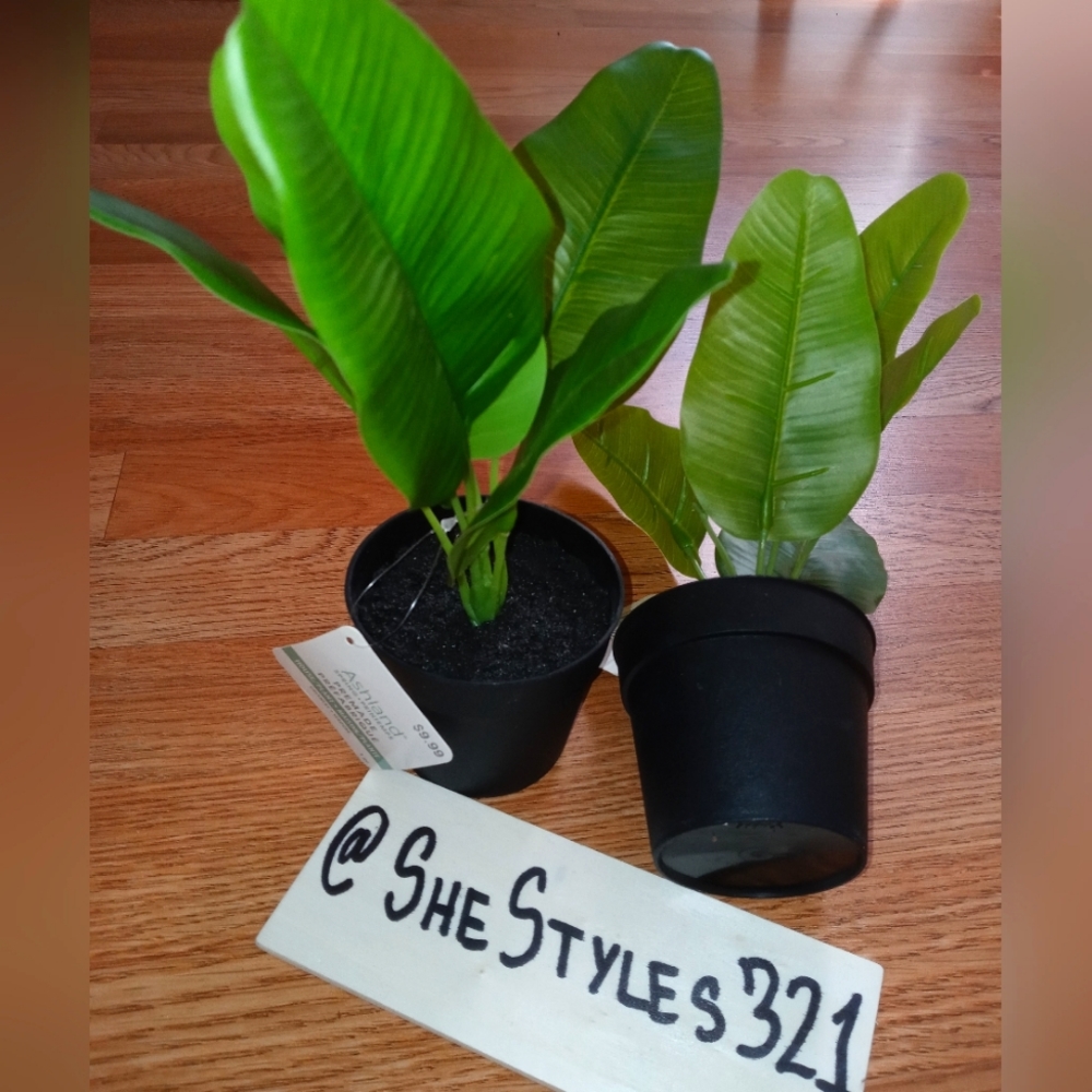 Ashland Artificial House Plants
